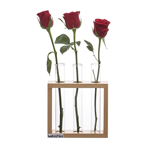 Flower vase with 3 Hand Blown Borosilicate glass test tubes in a Stylish Wooden stand to decorate home and work spaces