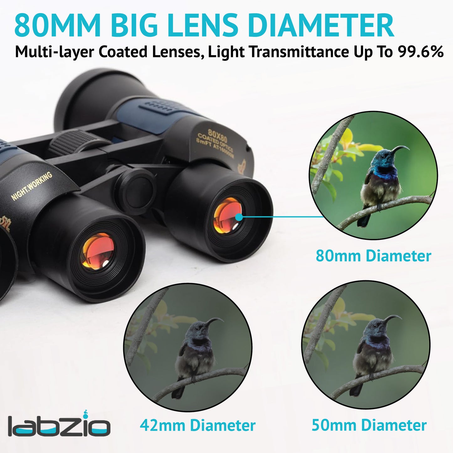 LABZIO 80x80 High-Power Binoculars for Bird Watching, Hunting, Sports, Travel | Clear Optics, Durable & Waterproof with Rubber Eye Cups, Diopter Adjustment, Lens Covers | Outdoor & Wildlife Viewing