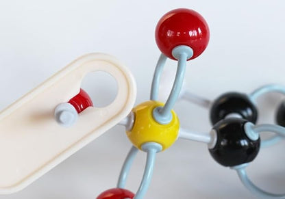 LABZIO Introductory Molecular Model Kit – 48 Atoms, 62 Links – Chemistry Set for Students, Teachers, STEM Learning, Biochemistry, Science Lab, Chemical Reactions, Molecular Structures, Study Tool