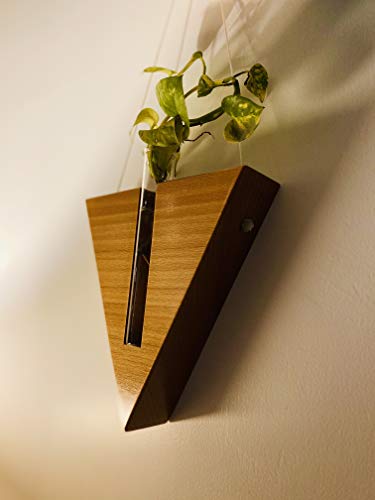 Labzio Home - Stylish Wooden Triangle Flower vase with a Glass Test Tube for Homes,Offices, cafes,etc