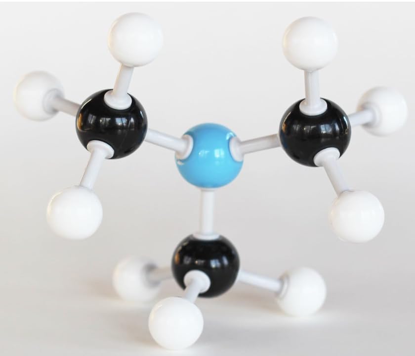 Molecular Model Teacher Set for Inorganic and Organic Chemistry, 126 Atom Pieces, 86 Links