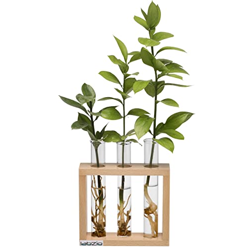 Flower vase with 3 Hand Blown Borosilicate glass test tubes in a Stylish Wooden stand to decorate home and work spaces