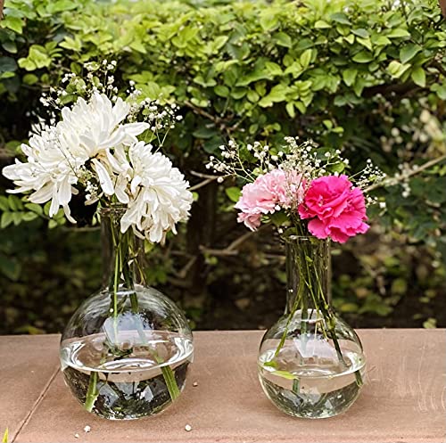 Labzio Home - Boiling Flask Glass Flower vase, Set of 2