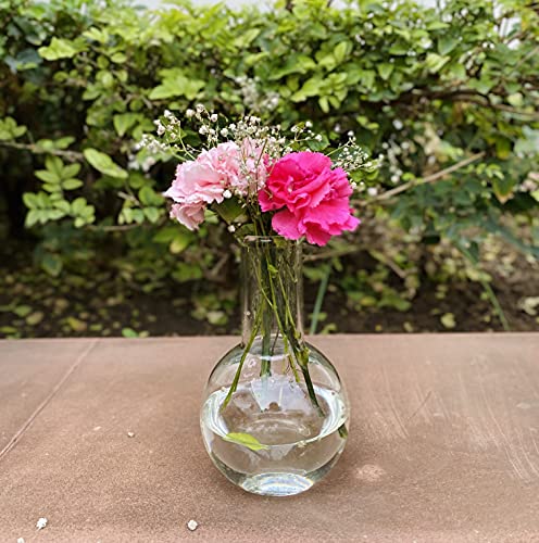 Labzio Home - Boiling Flask Glass Flower vase, Set of 2