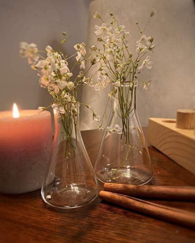 Labzio Home - Elegant Glass Flower vase/Shot flasks for Homes,Offices,cafes,etc