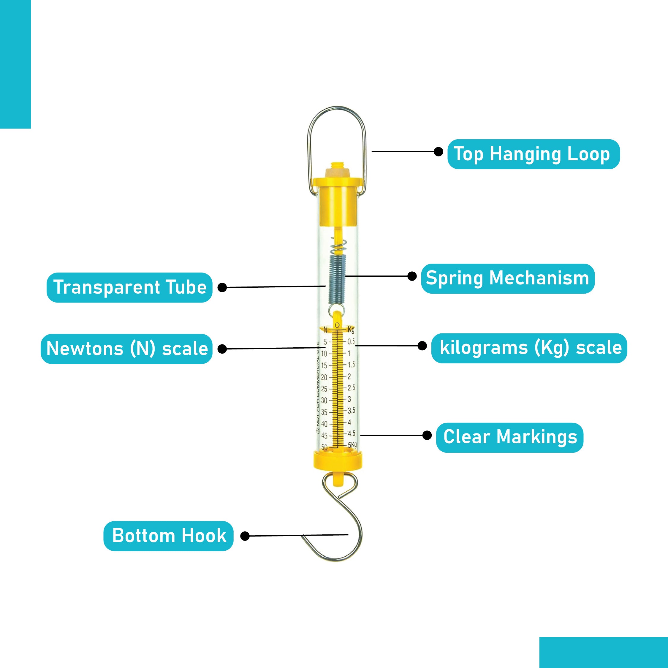 Newton Force Meter Spring Scale 5N 500g Dual Scale Labeled Balance ...
