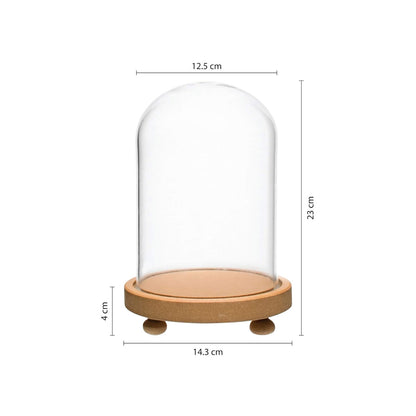 LABZIO Decorative Clear Borosilicate 3.3 glass Bell Jar, Display Case- round lacquered Wood base with small Wooden feet / Centerpiece, Tabletop Display