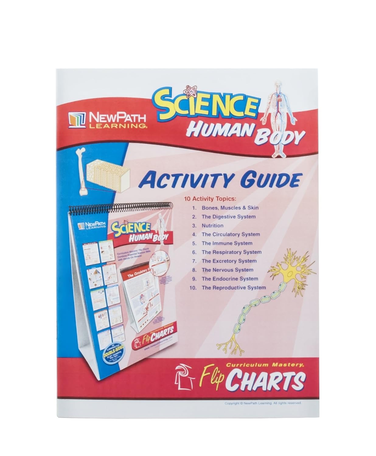 Eisco Human Body Educational Flip Charts