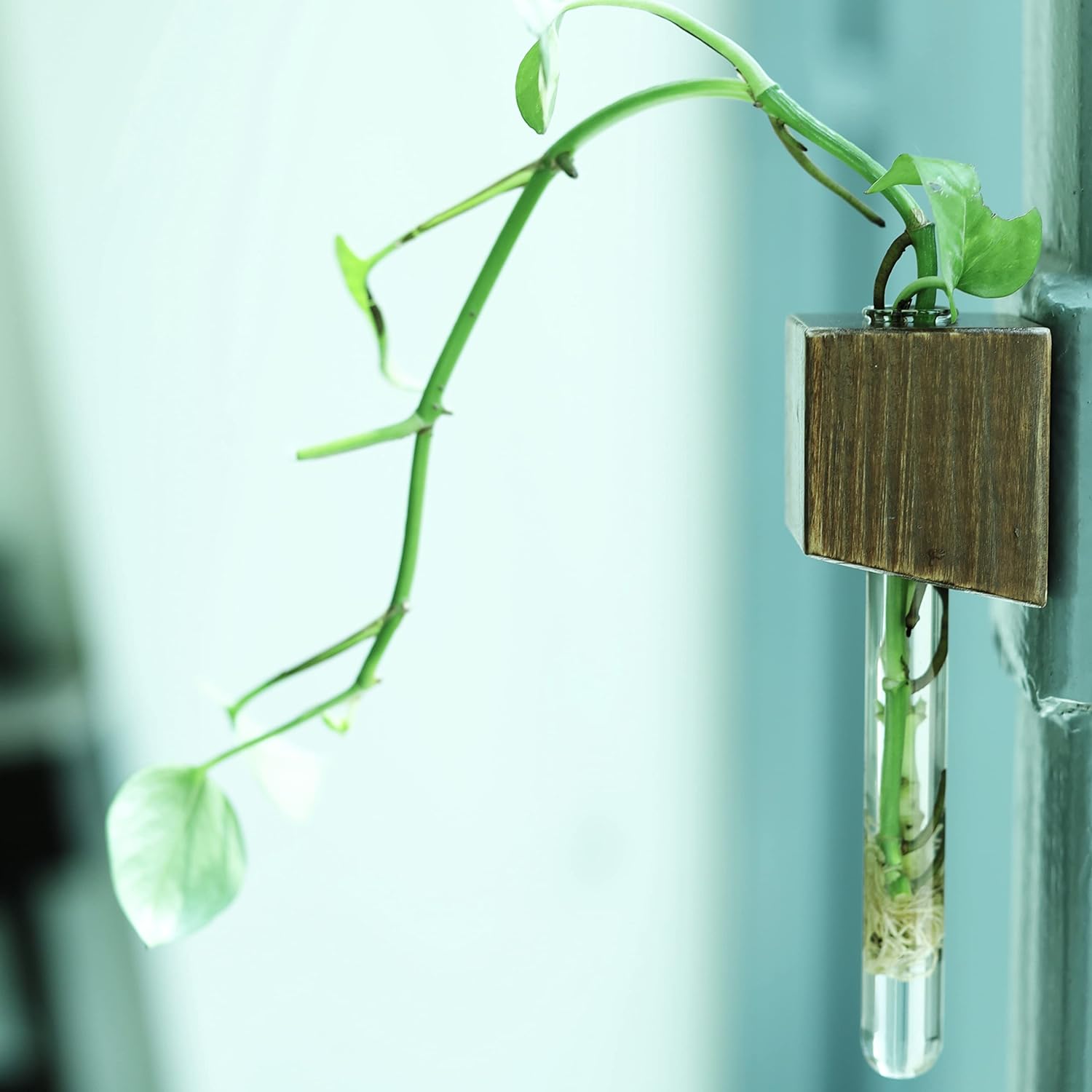 Labzio Home - Magnetic Cube Flower vase for Refrigerator Doors or Metal Surfaces (Beige, 1)