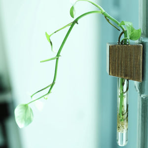 Labzio Home - Magnetic Cube Flower vase for Refrigerator Doors or Metal Surfaces (Beige, 1)