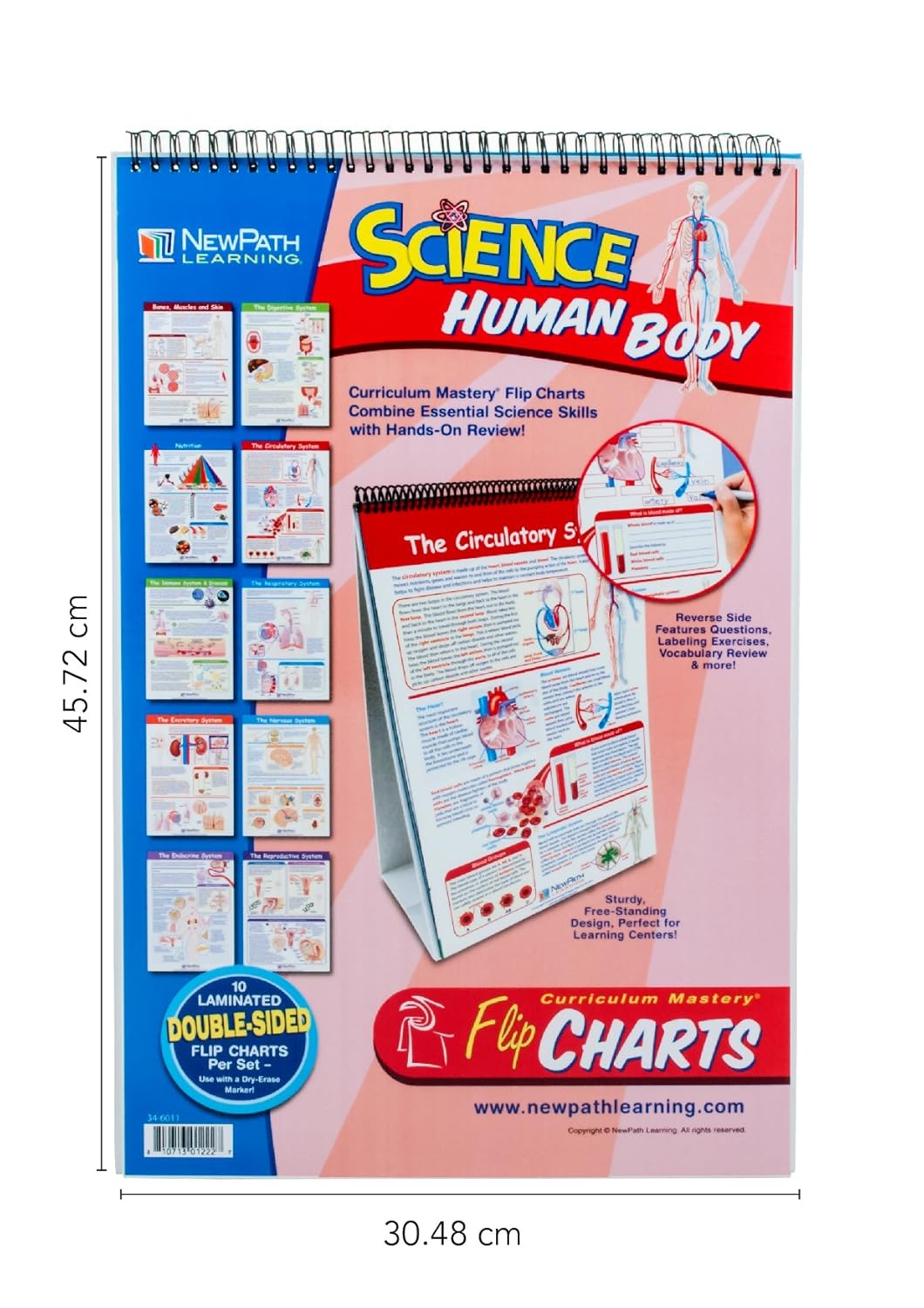 Eisco Human Body Educational Flip Charts