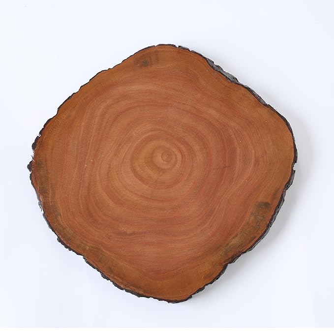 Raw tree bark wooden multipurpose platter, server for cheese crackers,snacks and cakes, 1 piece