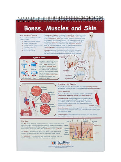 Eisco Human Body Educational Flip Charts