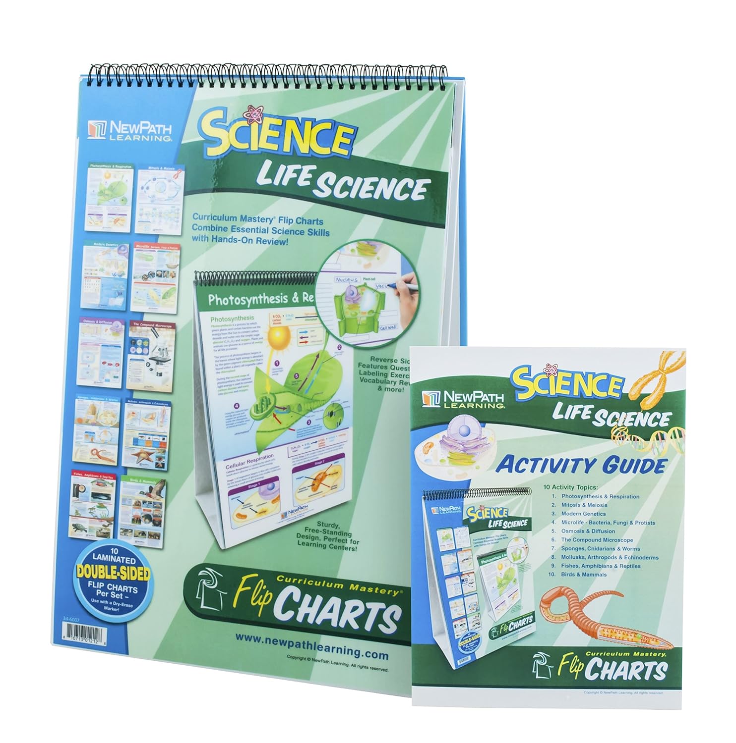 Eisco NewPath Learning Life Science Flip Charts & Activity Guide ...