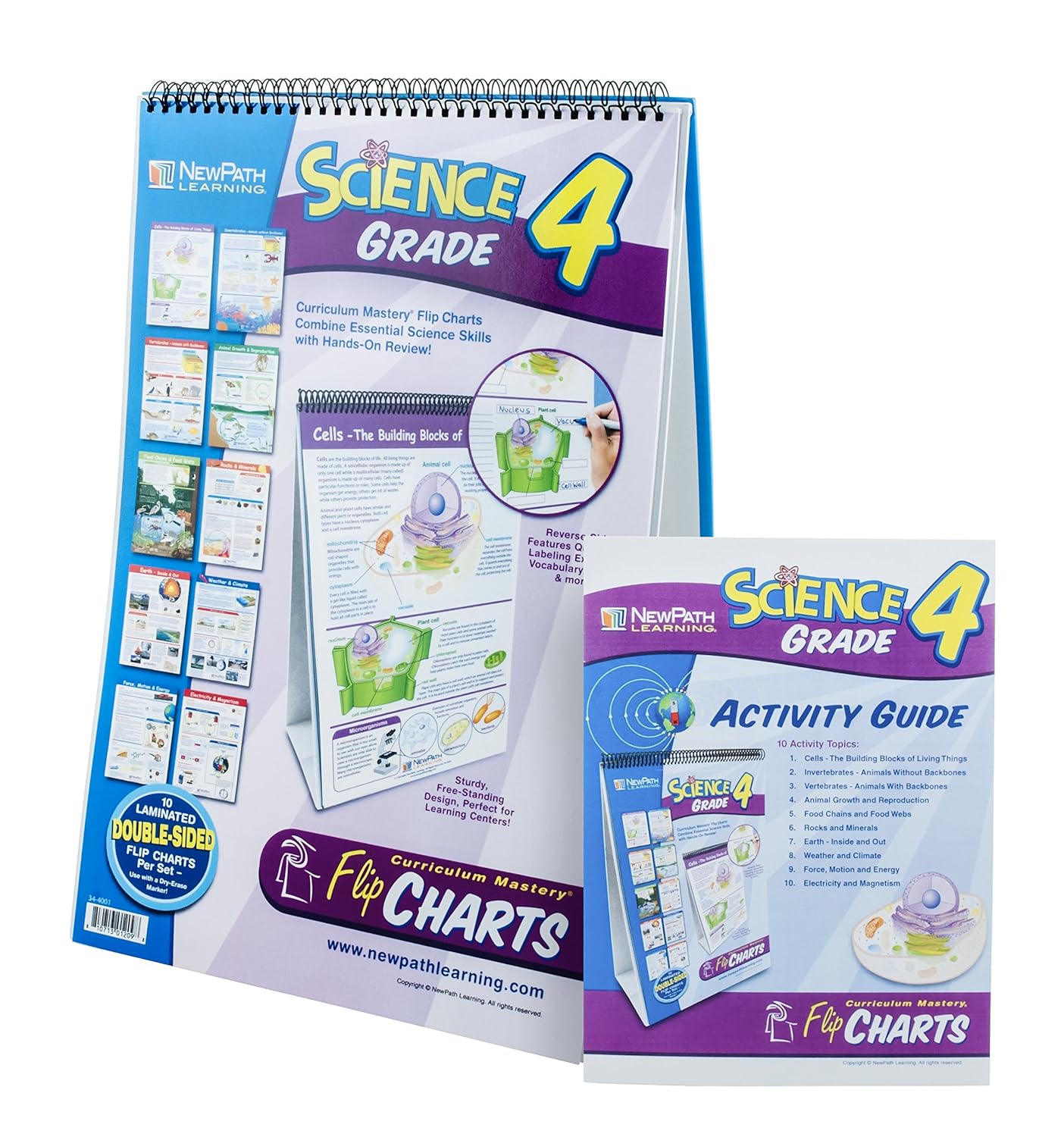 Science Program Charts Eisco Science Grade 4, Educational Flip Charts – labzio