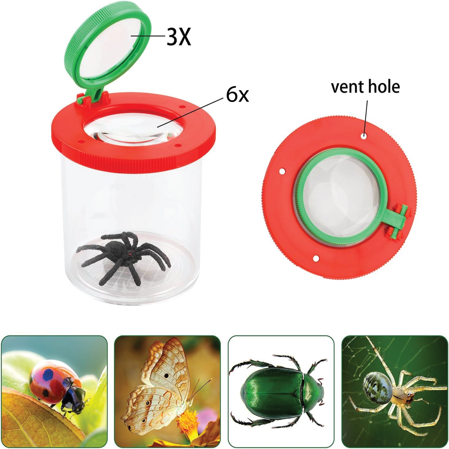 EISCO Magnifying Bug Viewer – 3X & 6X Insect Catcher with Dual Lens, Portable Bug Observation Cage, STEM Learning Kit, Outdoor Exploration, Science Experiments & Educational Toy (Pack of 2)