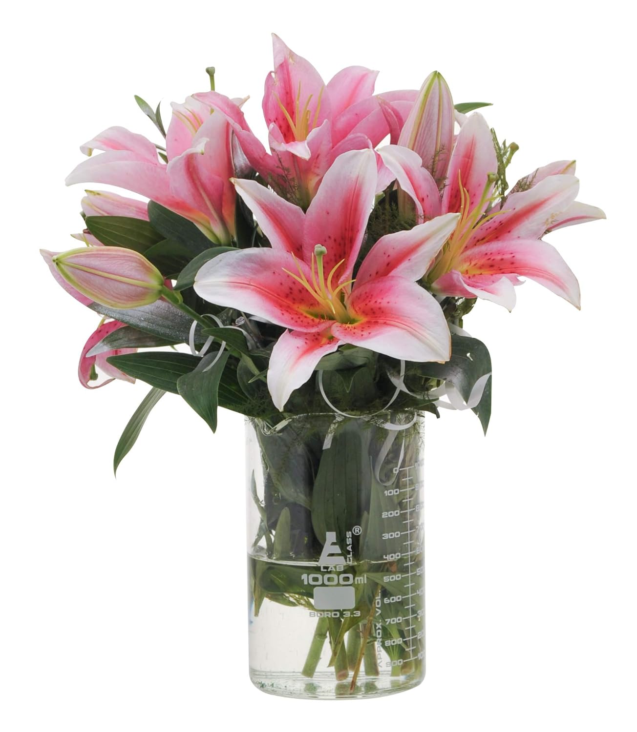 Beaker, 1000 ml, Low Form, Borosilicate Glass, Graduated as Per DIN 12231, ISO 3819, Pack of 6