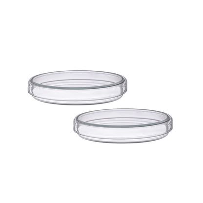 Labglass by EISCO - Premium Petri Dish, Heavy Borosilicate Glass 3.3, Can Withstand Wet or Dry Repeated Sterilisation, Beaded Edges for Strength (200 X 30 mm,Pack of 2)