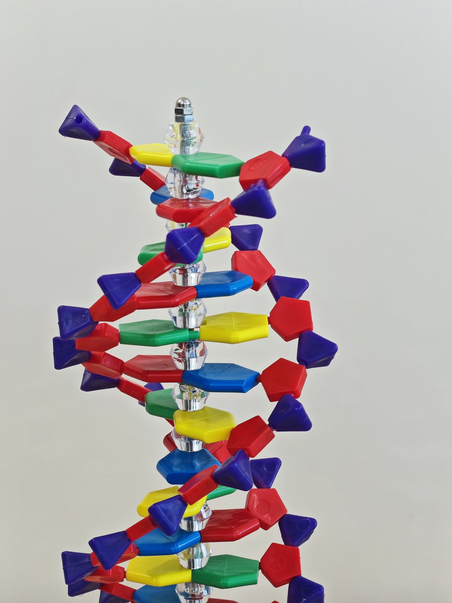 LABZIO-DNA Model | Mounted on Rotatable, Made of Durable and Colorful PVC | Phosphate can be Removed…