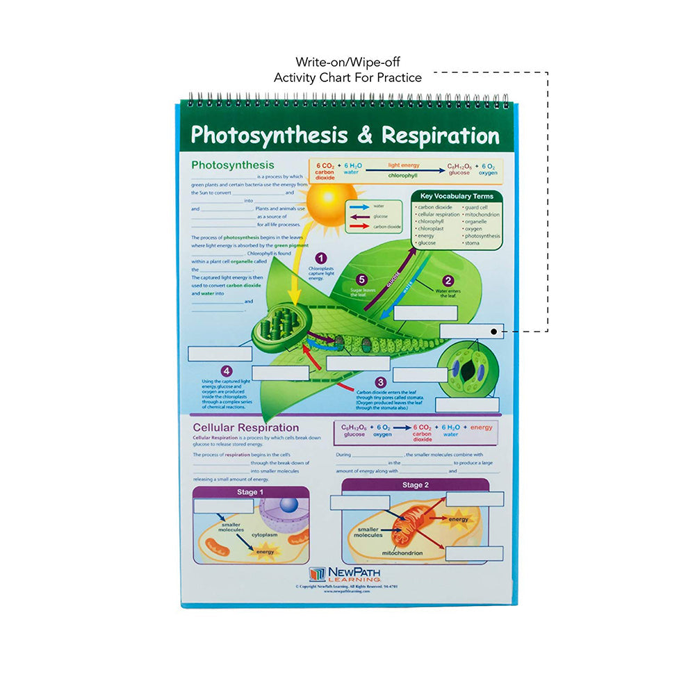 Life Science Educational Flip Charts, Laminated Double Sided Charts With Write-on & Wipe-Off Activity Charts, 10 Charts of Size 12" x 18"