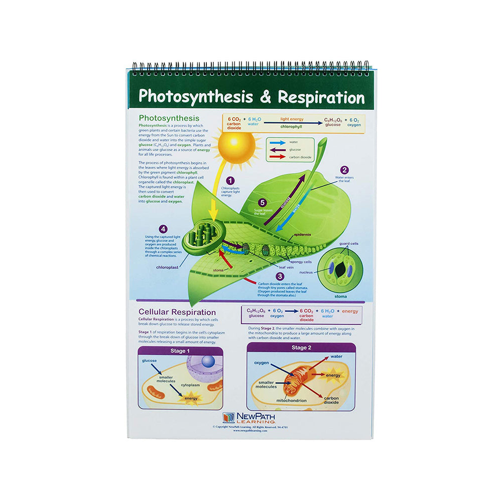 Life Science Educational Flip Charts, Laminated Double Sided Charts With Write-on & Wipe-Off Activity Charts, 10 Charts of Size 12" x 18"