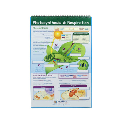 Life Science Educational Flip Charts, Laminated Double Sided Charts With Write-on & Wipe-Off Activity Charts, 10 Charts of Size 12" x 18"