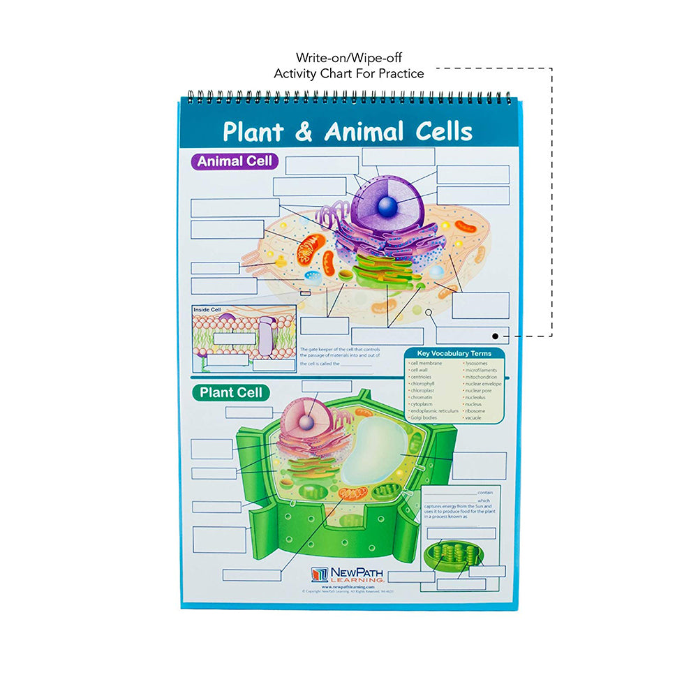 Genetics & Heredity Educational Flip Charts, Laminated Double Sided Charts With Write-on & Wipe-Off Activity Charts, 10 Charts of Size 12" x 18"