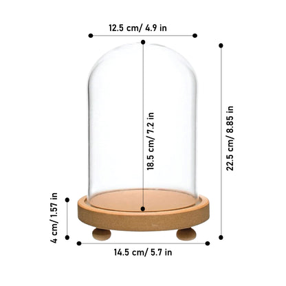 LABZIO Decorative Clear Borosilicate Glass Bell Jar with Round Lacquered Wood Base and Wooden Feet, Elegant Tabletop Display Case for Home Decor, Centerpiece, Office, Living Room, Unique Glass Jar Display