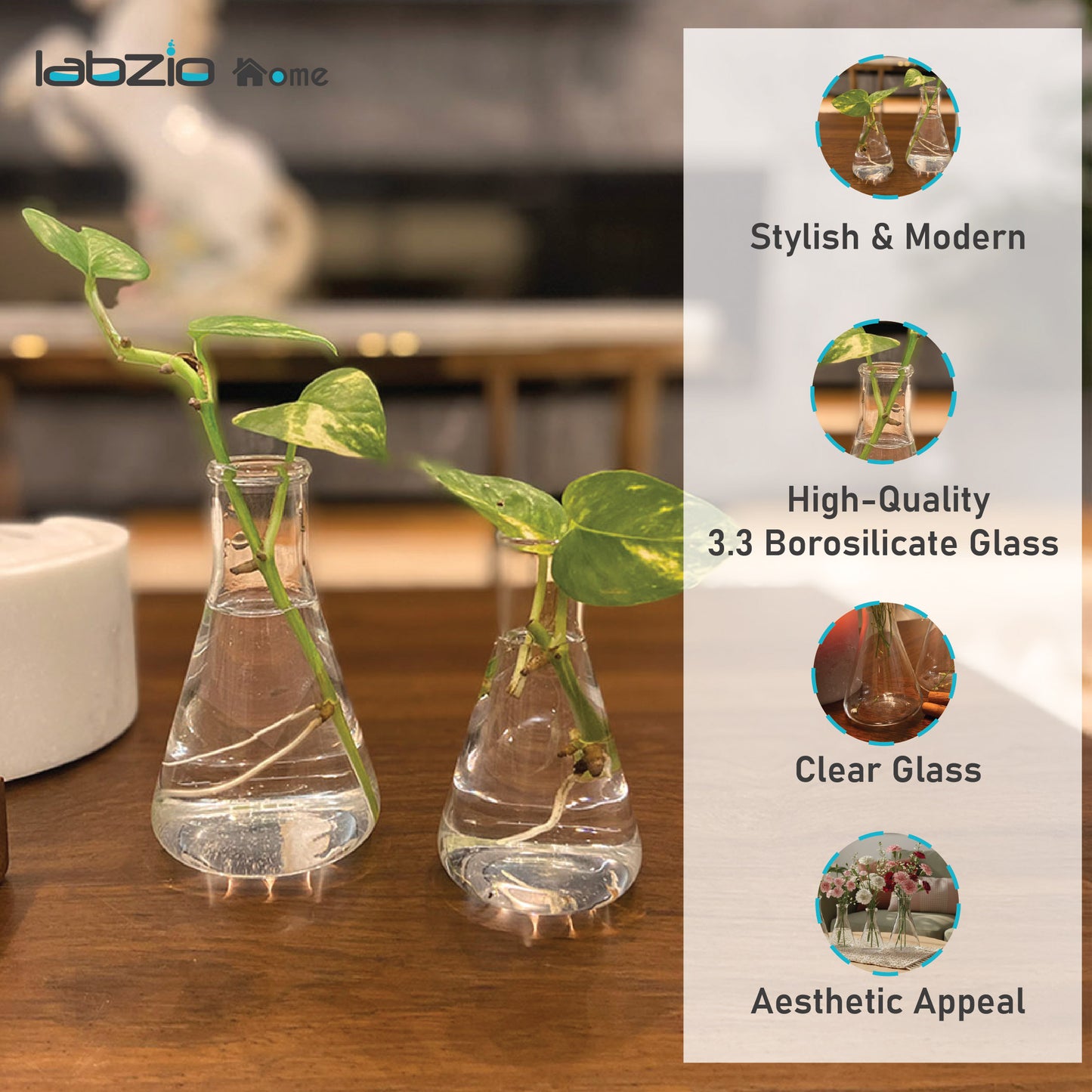 Labzio Home - Elegant Glass Flower vase/Shot flasks for Homes,Offices,cafes,etc, 50ml Each Pack of 4