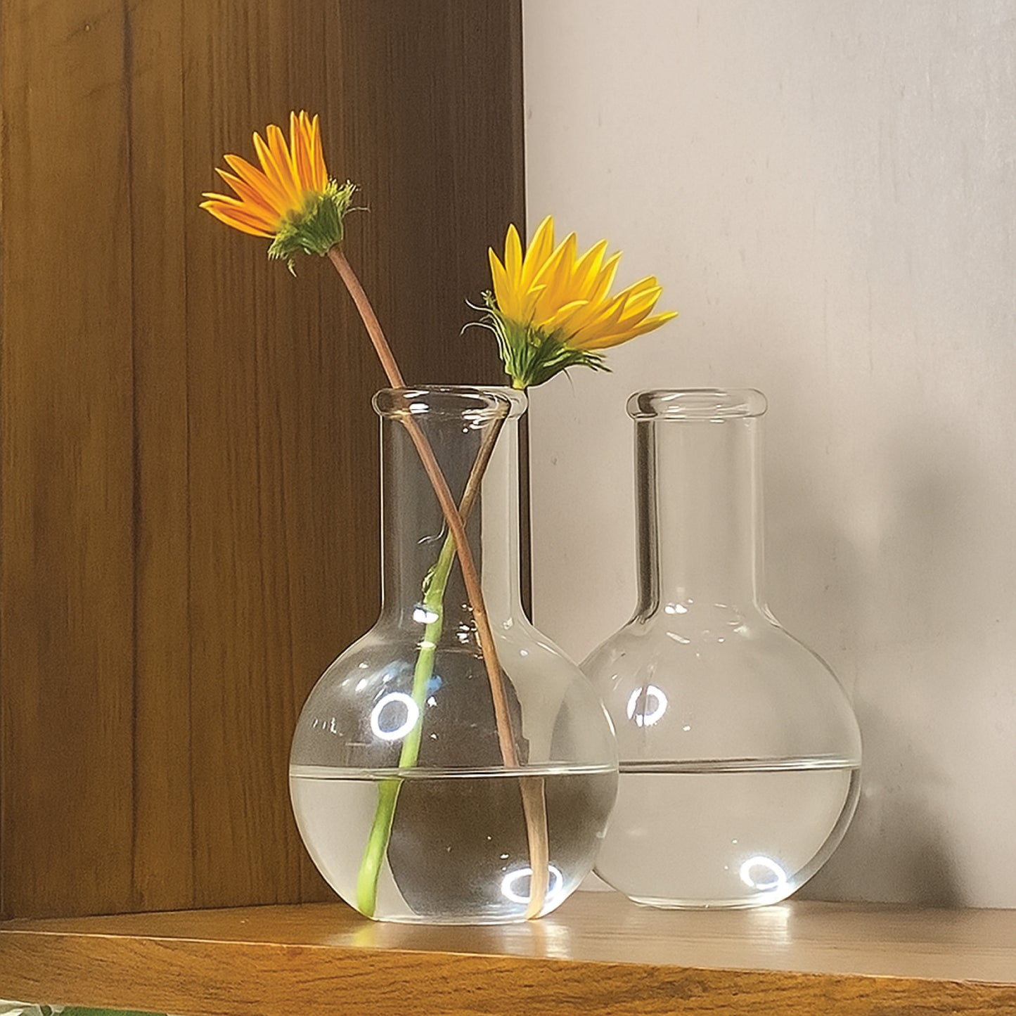 Labzio Home - Boiling Flask Glass Flower vase, Set of 2