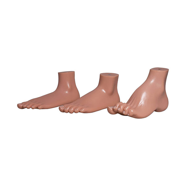 Normal foot, Arched Foot, Flat Foot coloured models , Natural size , Set of 3,with detailed coloured key cards