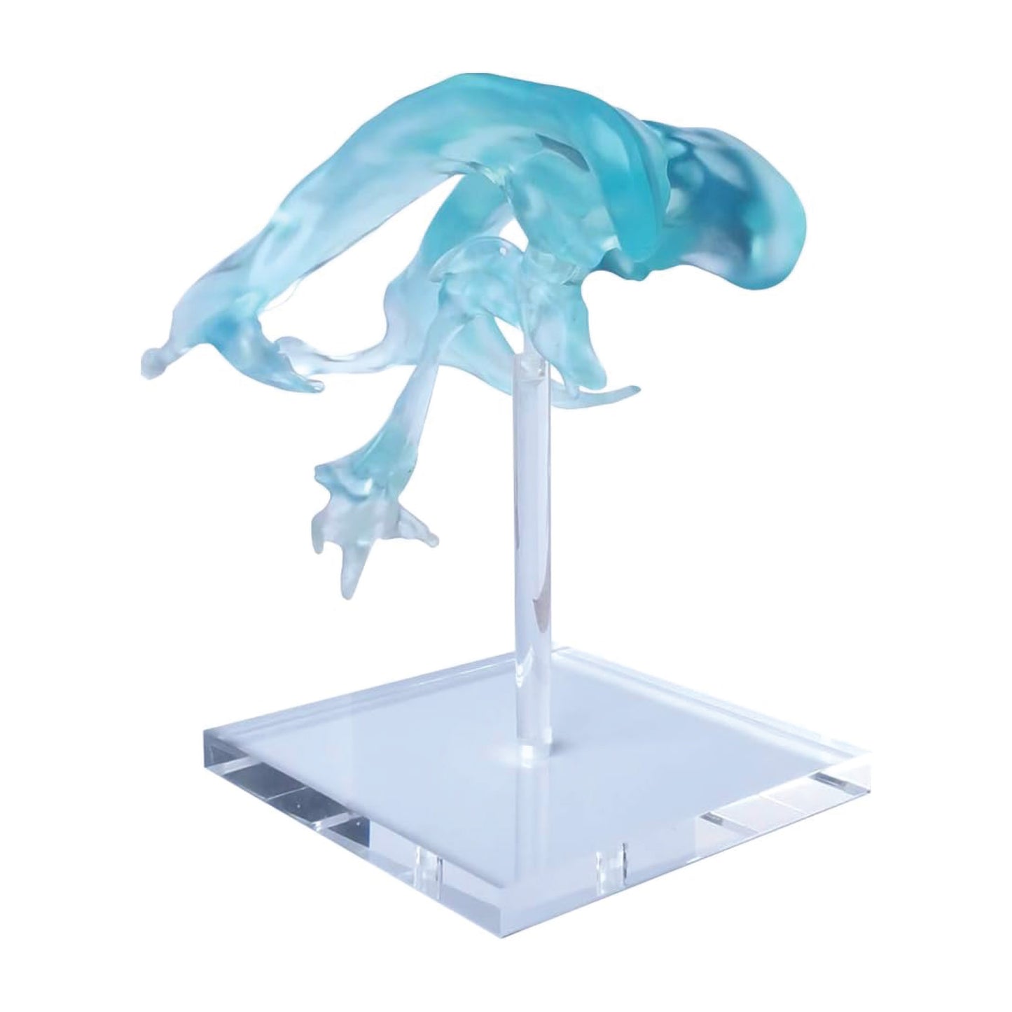 Labzio- Brain Ventricle Model