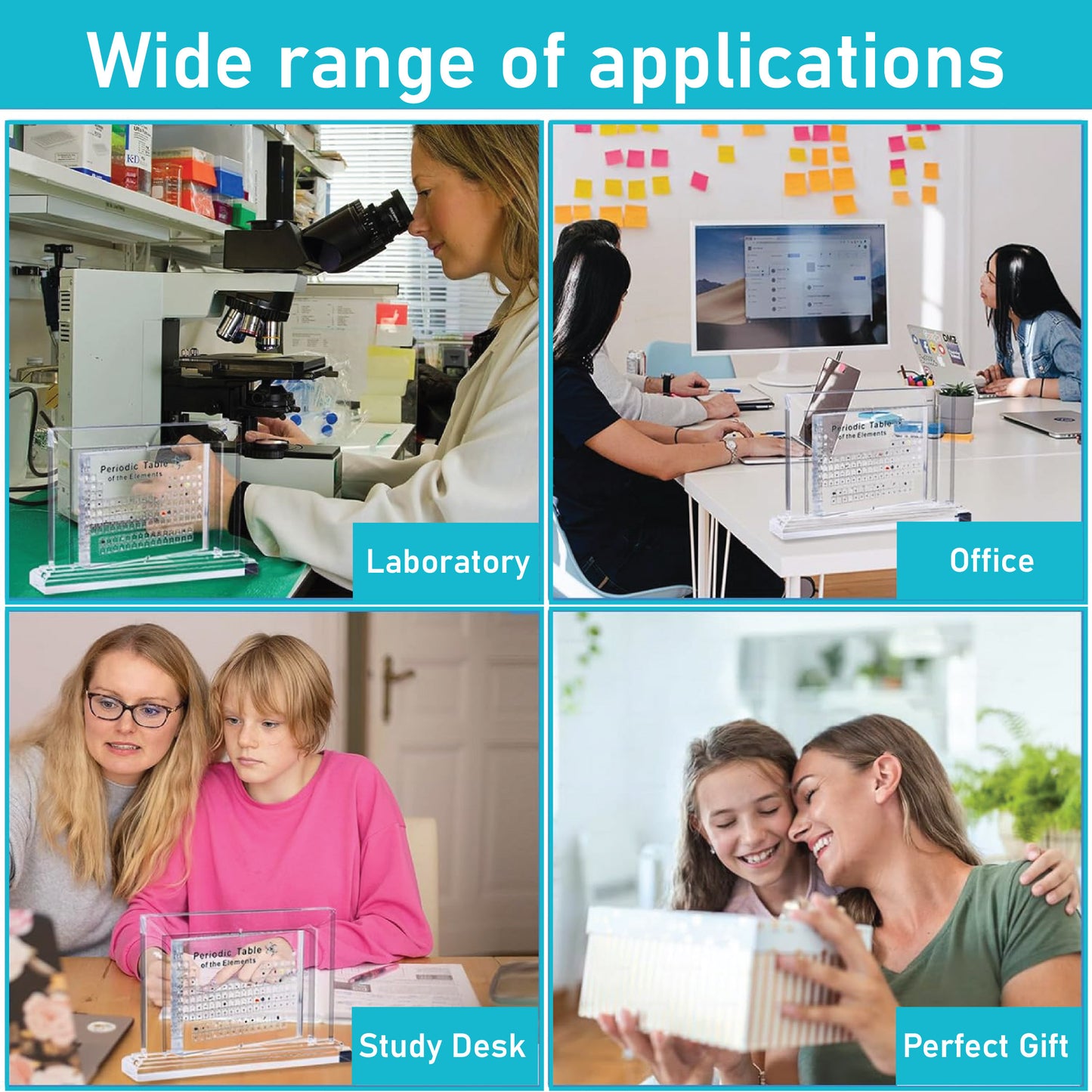 Labzio - Deluxe Human Brain Model - 4 Parts, Color-Coded,1.5 times enlarged