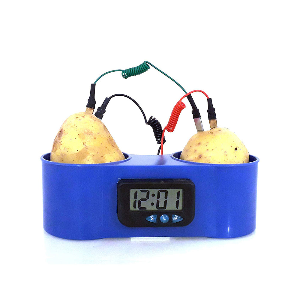 Potato Clock - DIY Experiment in Blue Plastic Holder (1)