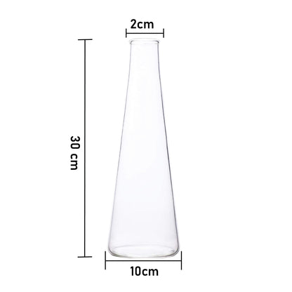 Labzio Home Glass Vase for Flowers & Plants (Transparent, 30 cm X 10 cm) - Living Room Glass Vase Pot for Water Plants Home Decor Dining Table Decoration Bedroom Hall Aesthetic House Warming Gift