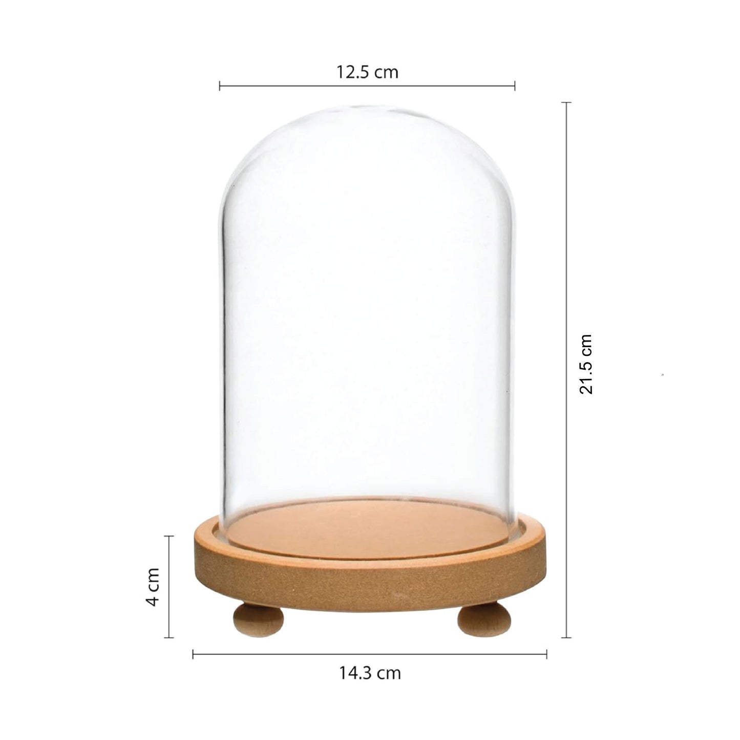 LABZIO Decorative Clear Borosilicate 3.3 glass Bell Jar, Display Case- round lacquered Wood base with small Wooden feet / Centerpiece, Tabletop Display