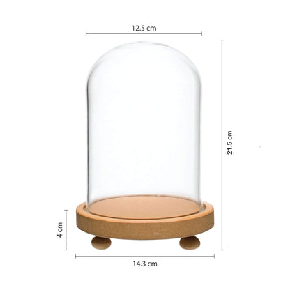 LABZIO Decorative Clear Borosilicate 3.3 glass Bell Jar, Display Case- round lacquered Wood base with small Wooden feet / Centerpiece, Tabletop Display