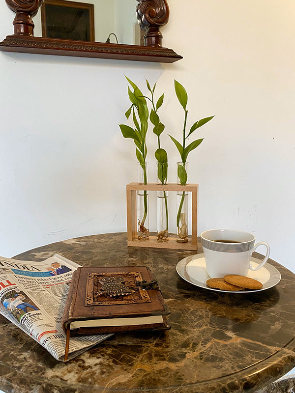 Flower vase with 3 Hand Blown Borosilicate glass test tubes in a Stylish Wooden stand to decorate home and work spaces