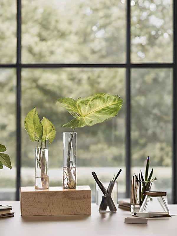 Flower Vase with 2 Hand Blown Borosilicate glass test tubes in a rectangle wooden block stand to Decorate Home & Office Spaces