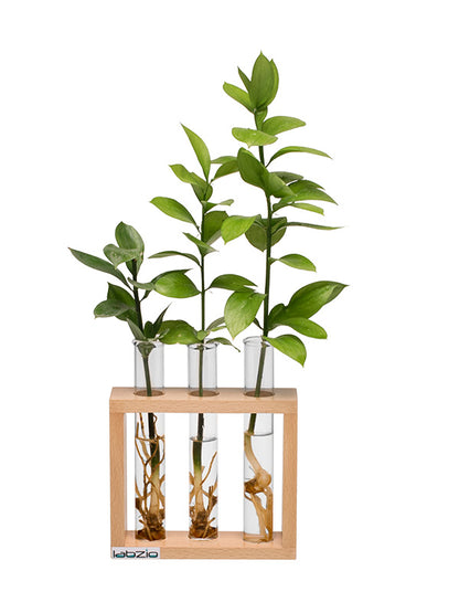 Flower vase with 3 Hand Blown Borosilicate glass test tubes in a Stylish Wooden stand to decorate home and work spaces