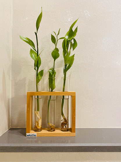 Flower vase with 3 Hand Blown Borosilicate glass test tubes in a Stylish Wooden stand to decorate home and work spaces