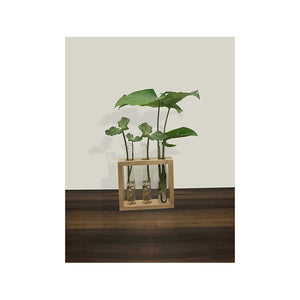 Flower vase with 3 Hand Blown Borosilicate glass test tubes in a Stylish Wooden stand to decorate home and work spaces